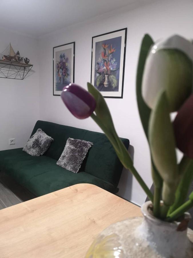 Apartment Ivka Дубровник Экстерьер фото